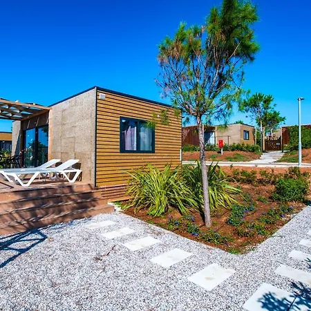 Arena Grand Kazela Homes