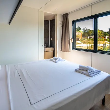 Arena Grand Kazela Homes מדולין